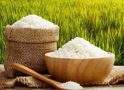 تصویر 2 از خرید و قیمت برنج عنبر بو خوزستان + فروش صادراتی